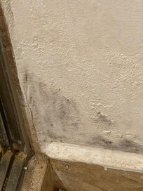 Mold in the bathroom, apartment smelled very musty.