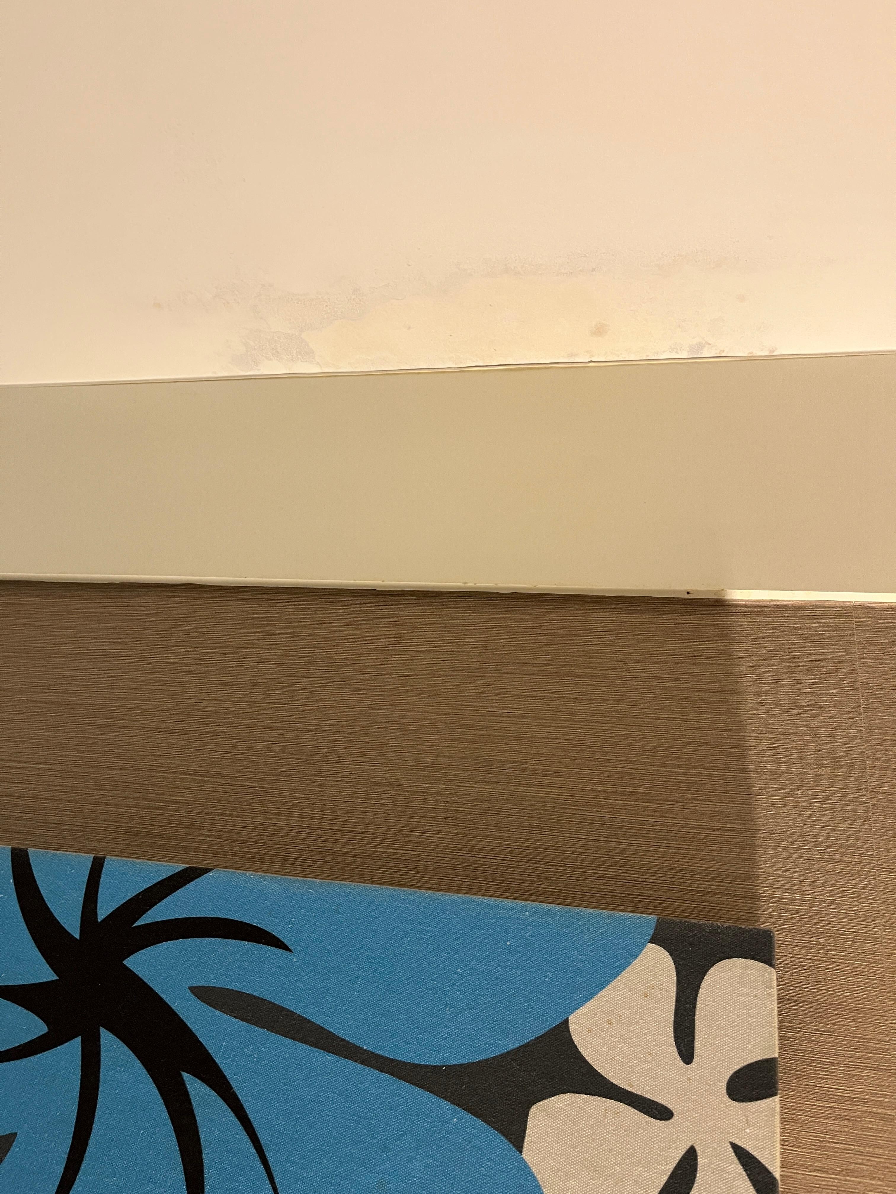 Mold on the ceiling from water damage.