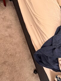Unmade bed with bloody sheets