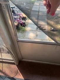 Torn screen patio door; adjacent window screens were the same