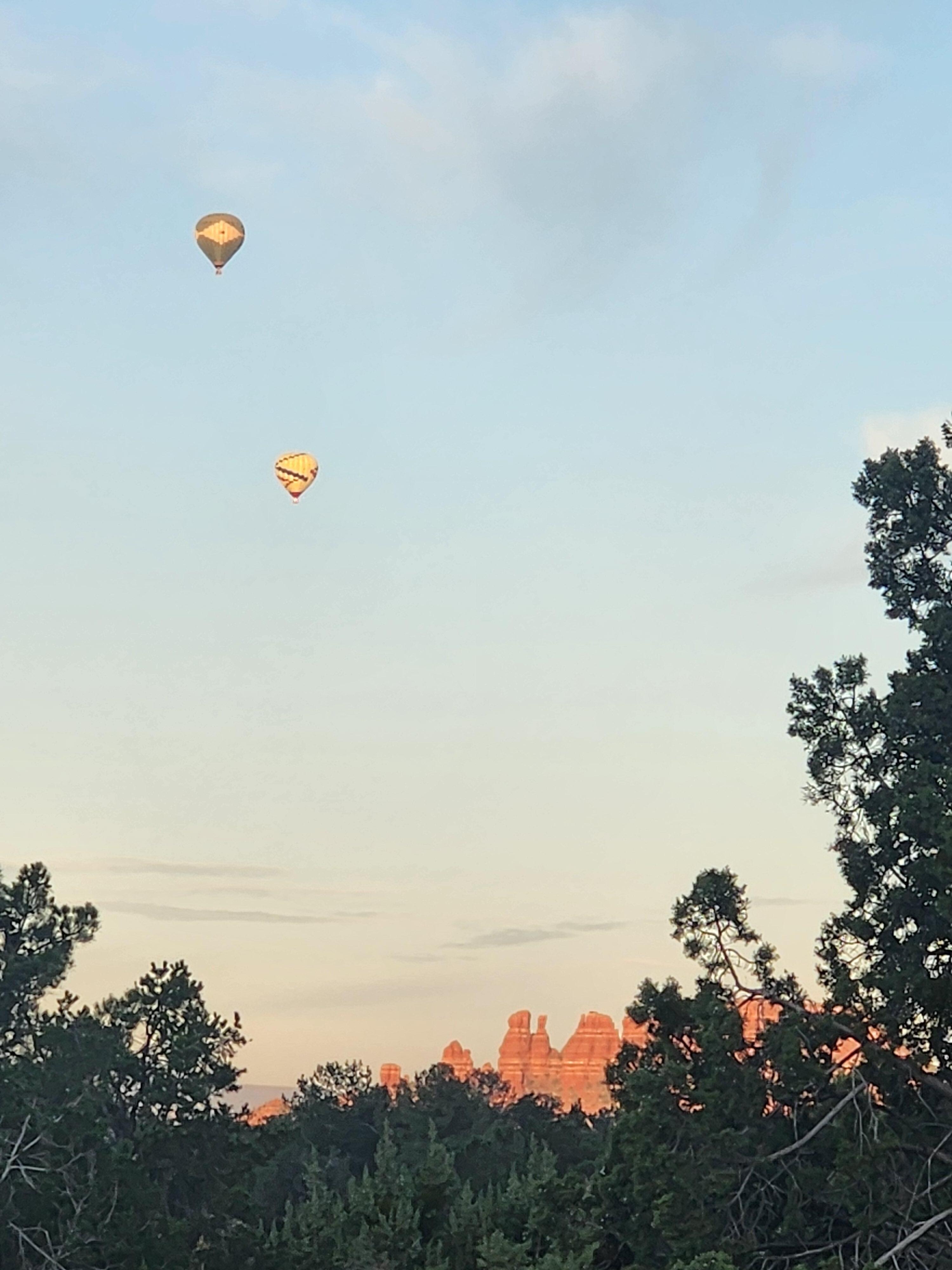 View from back deck.