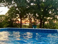Sunset through the trees