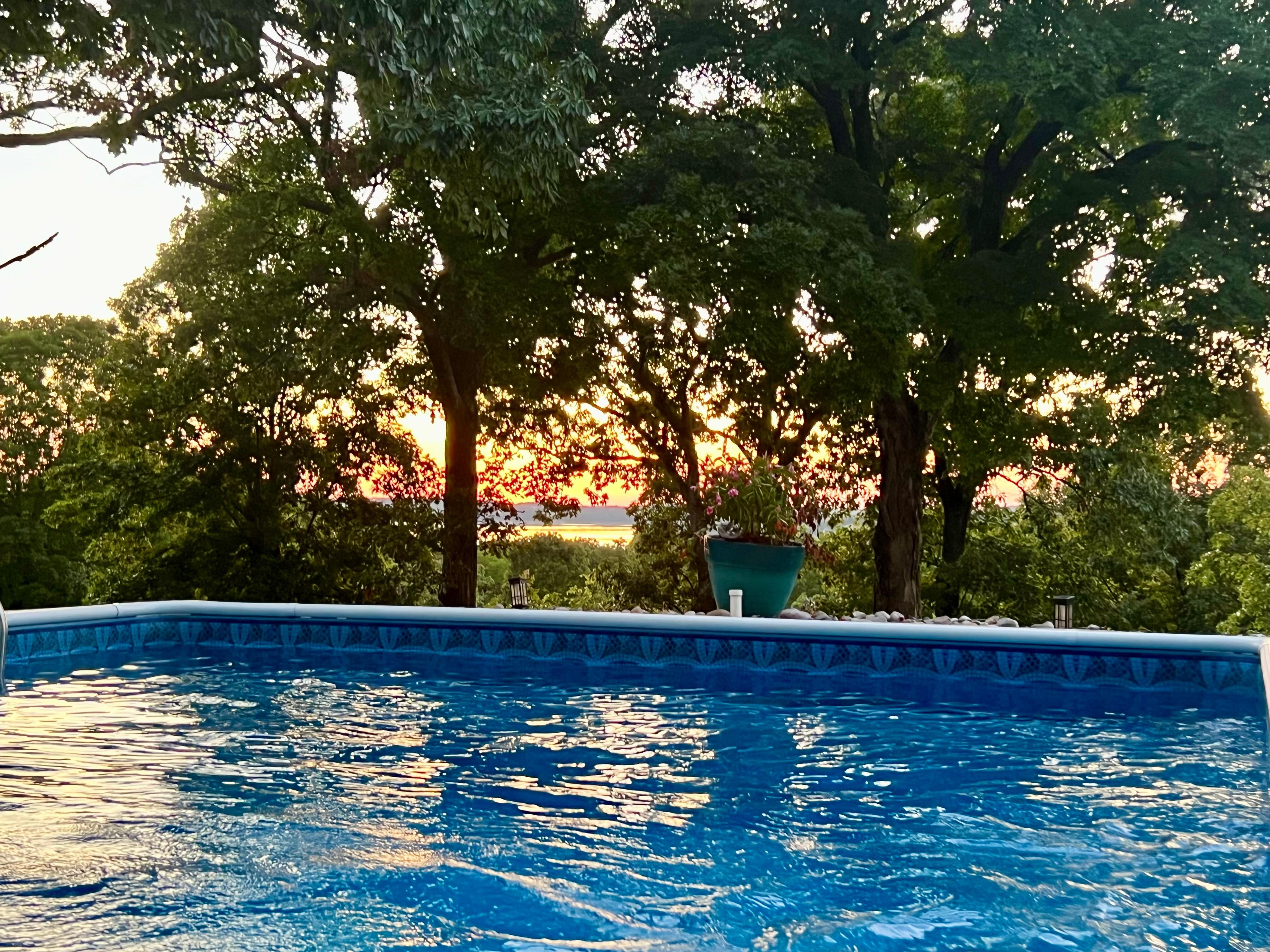 Sunset through the trees