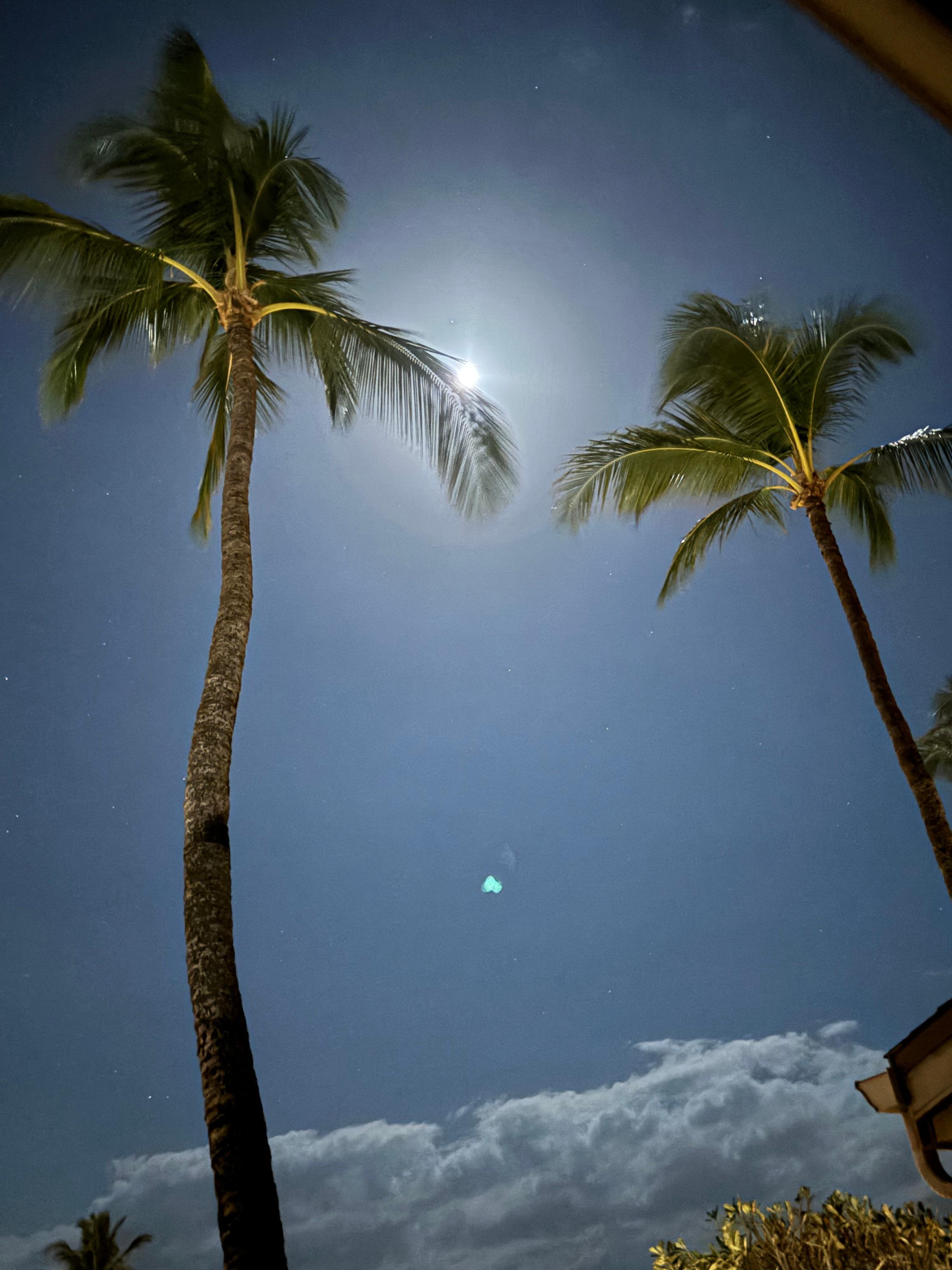 Morning moon over lanai