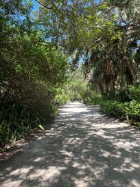 Walking to the beach
