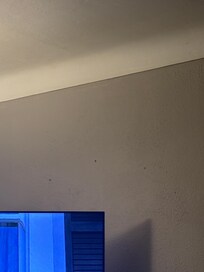 Holes in the living room