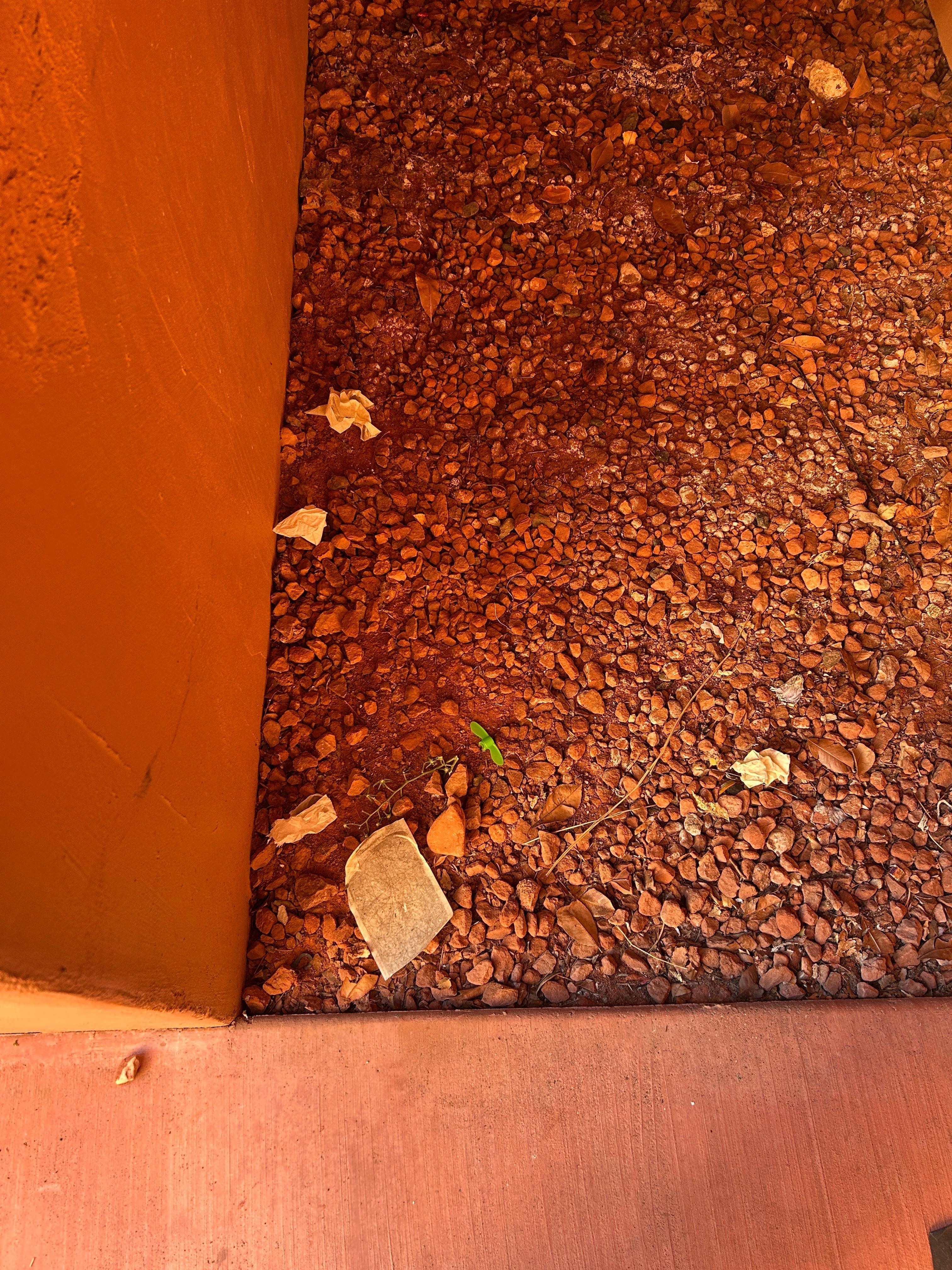 Stuff had been there awhile 