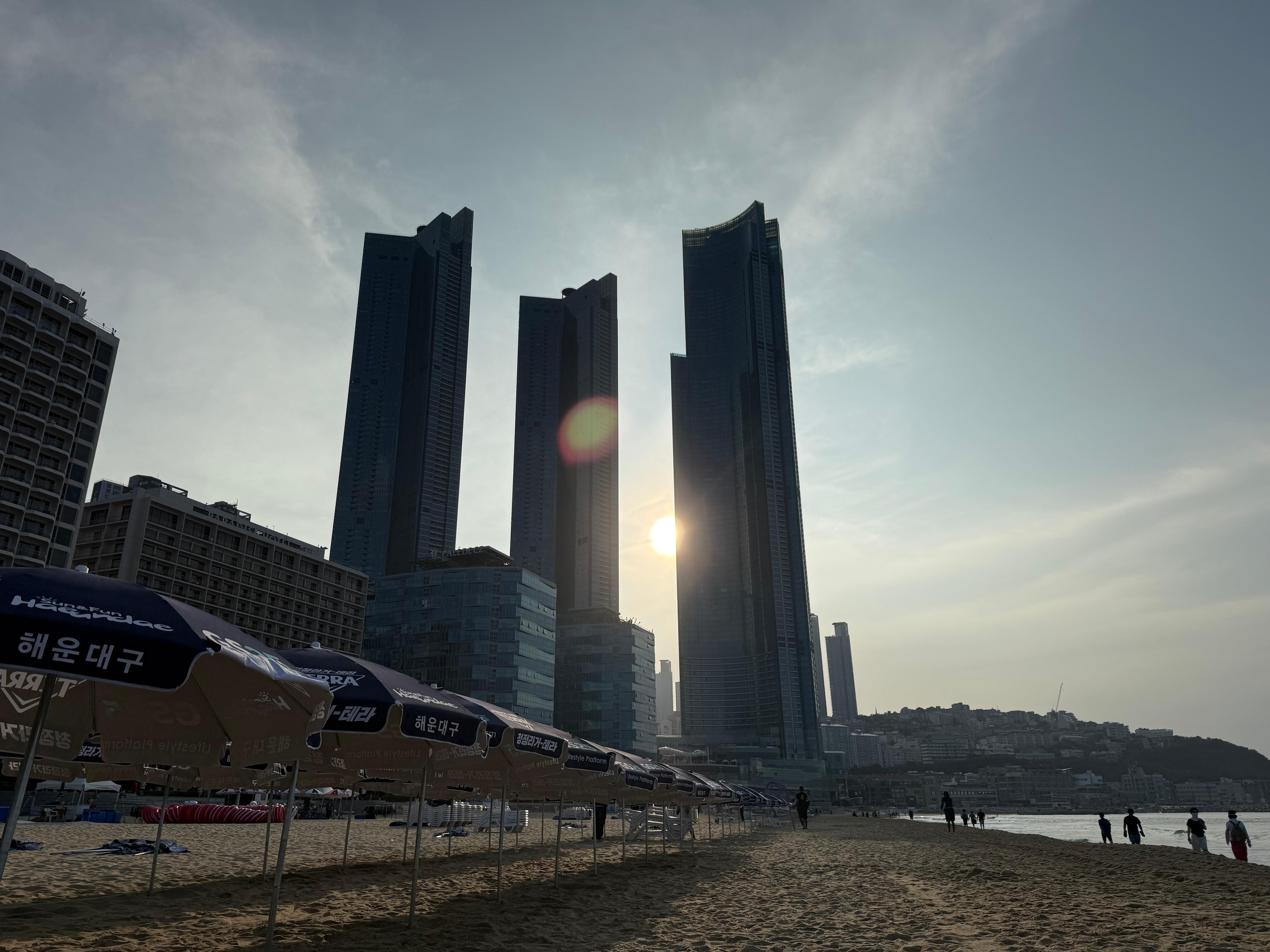 朝んぼにも最高の場所です