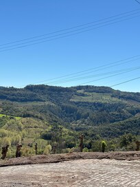 Vineards view from porch
