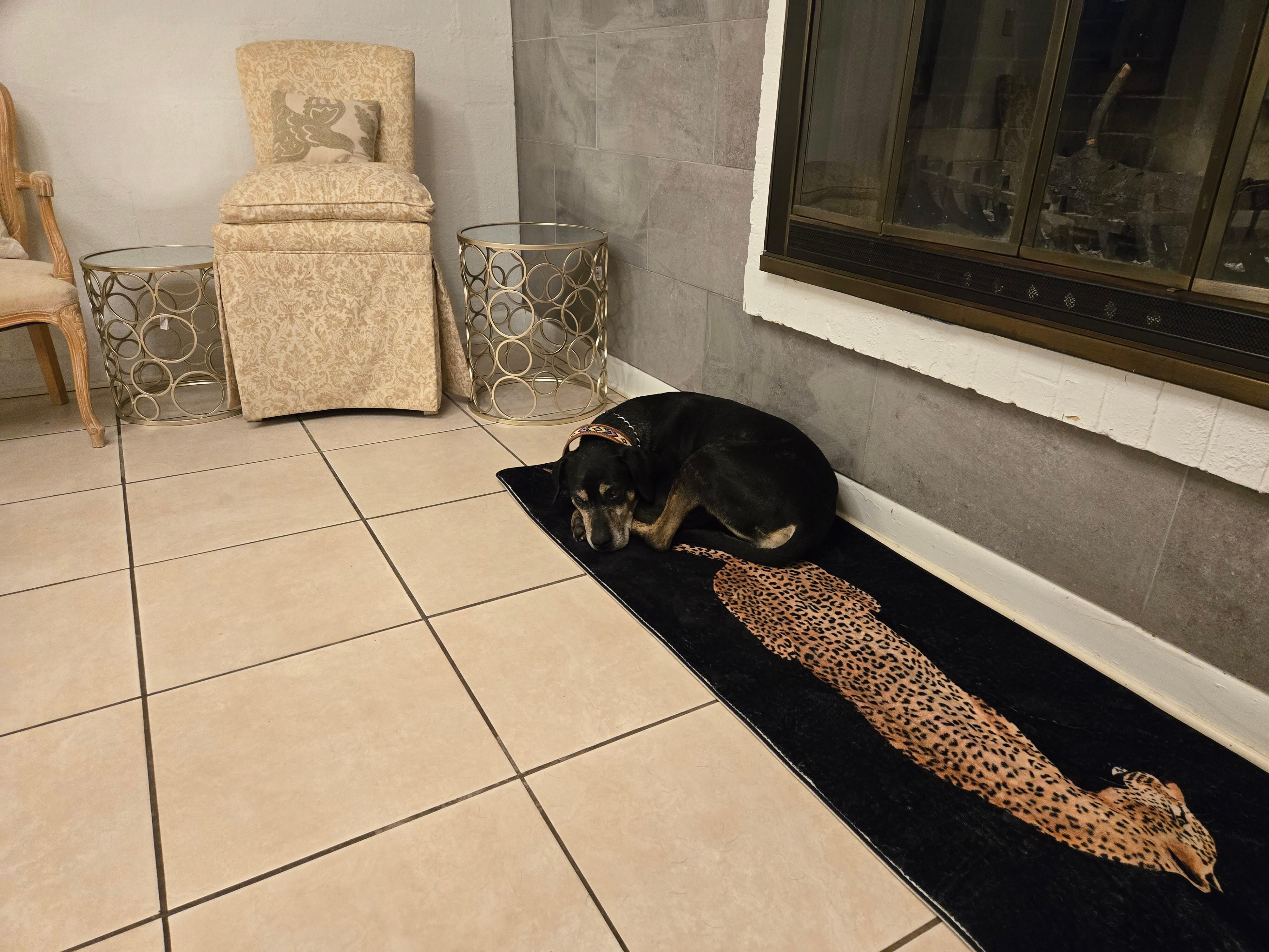 Soldier laying on rug in living room