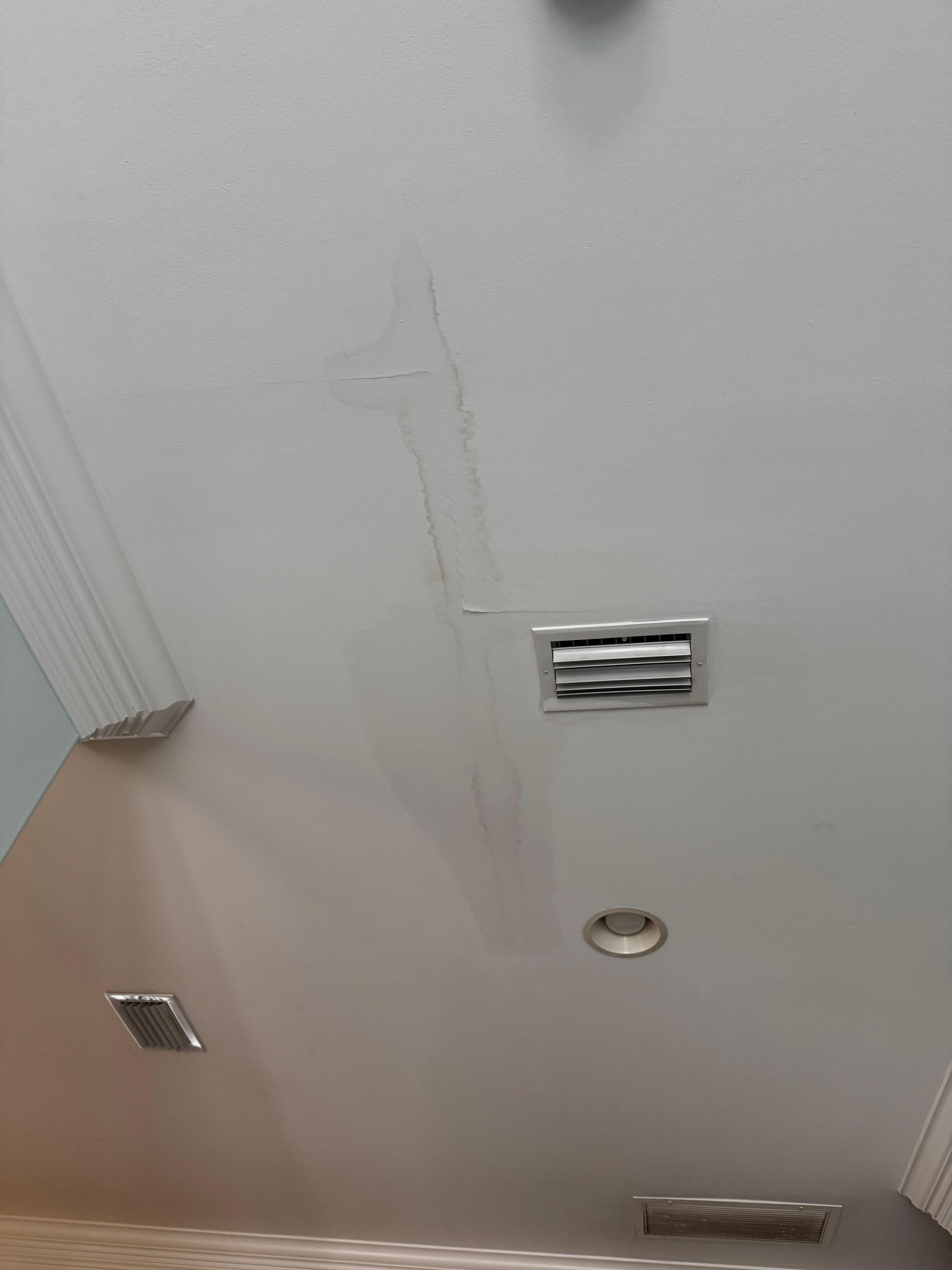 Water leak/damage, musty moldy smell