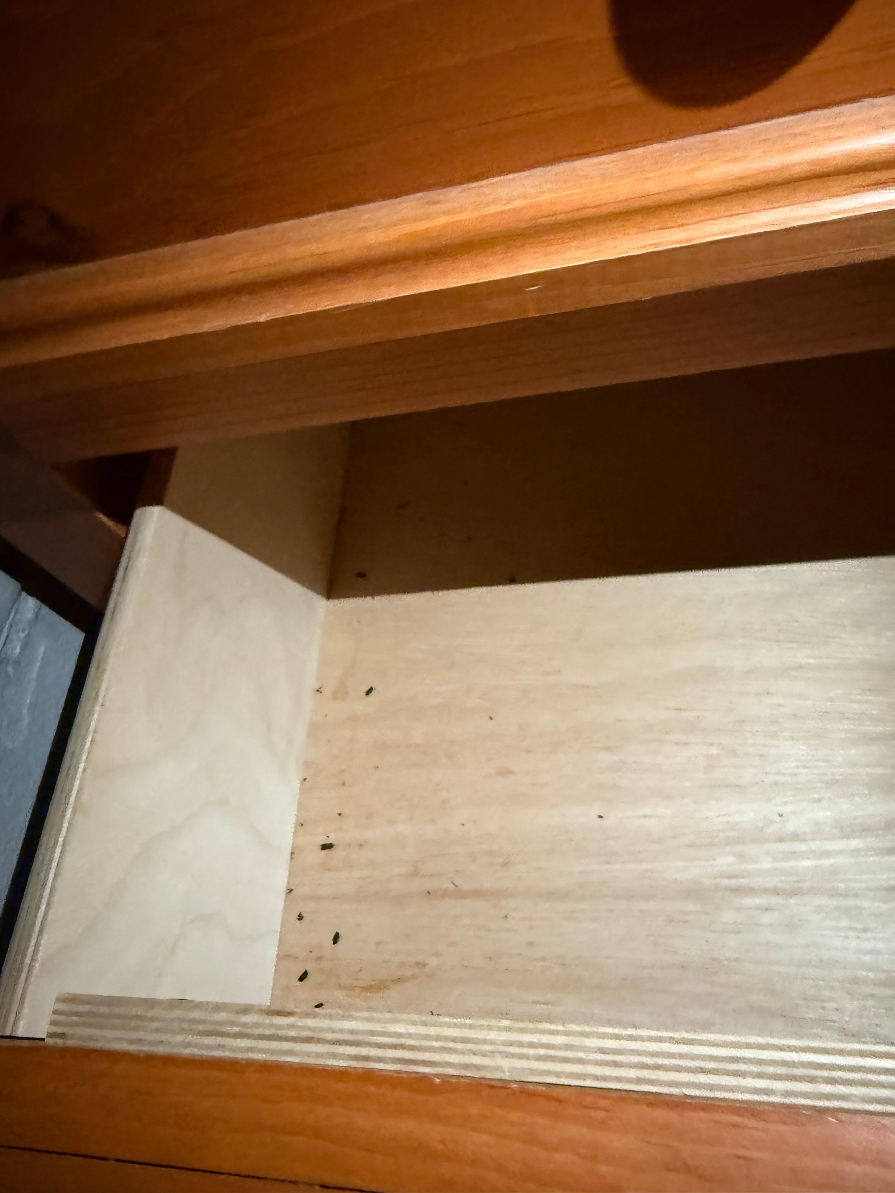 poop in the drawers