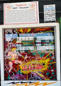 Pinball museum and arcade… pay one price and play all you want 👍