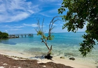 Sunset Park was our fav spot