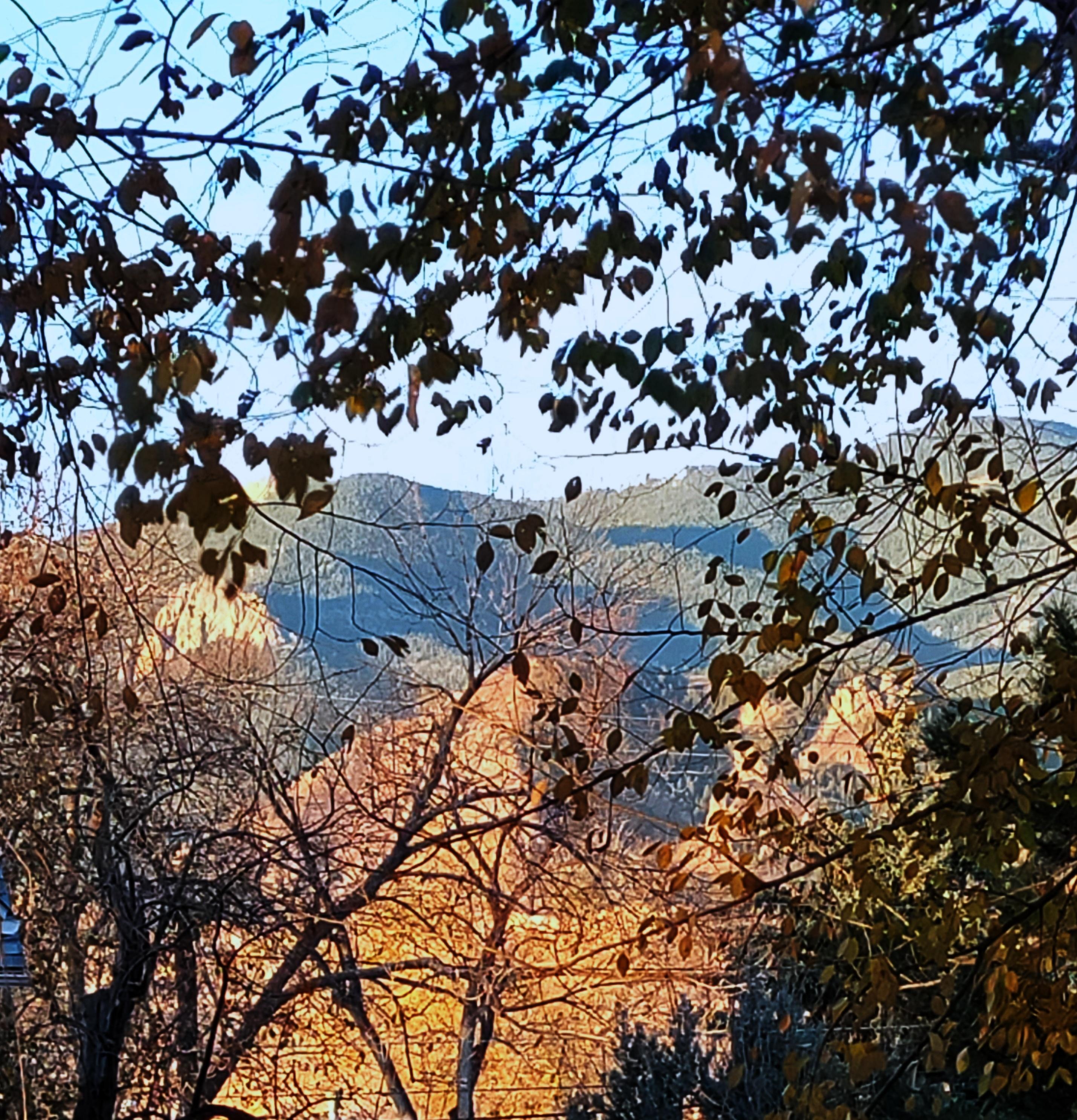 View from front porch.❤️