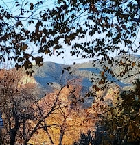 View from front porch.❤️