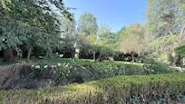 Peaceful and serene