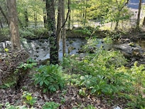 Beauty stream view