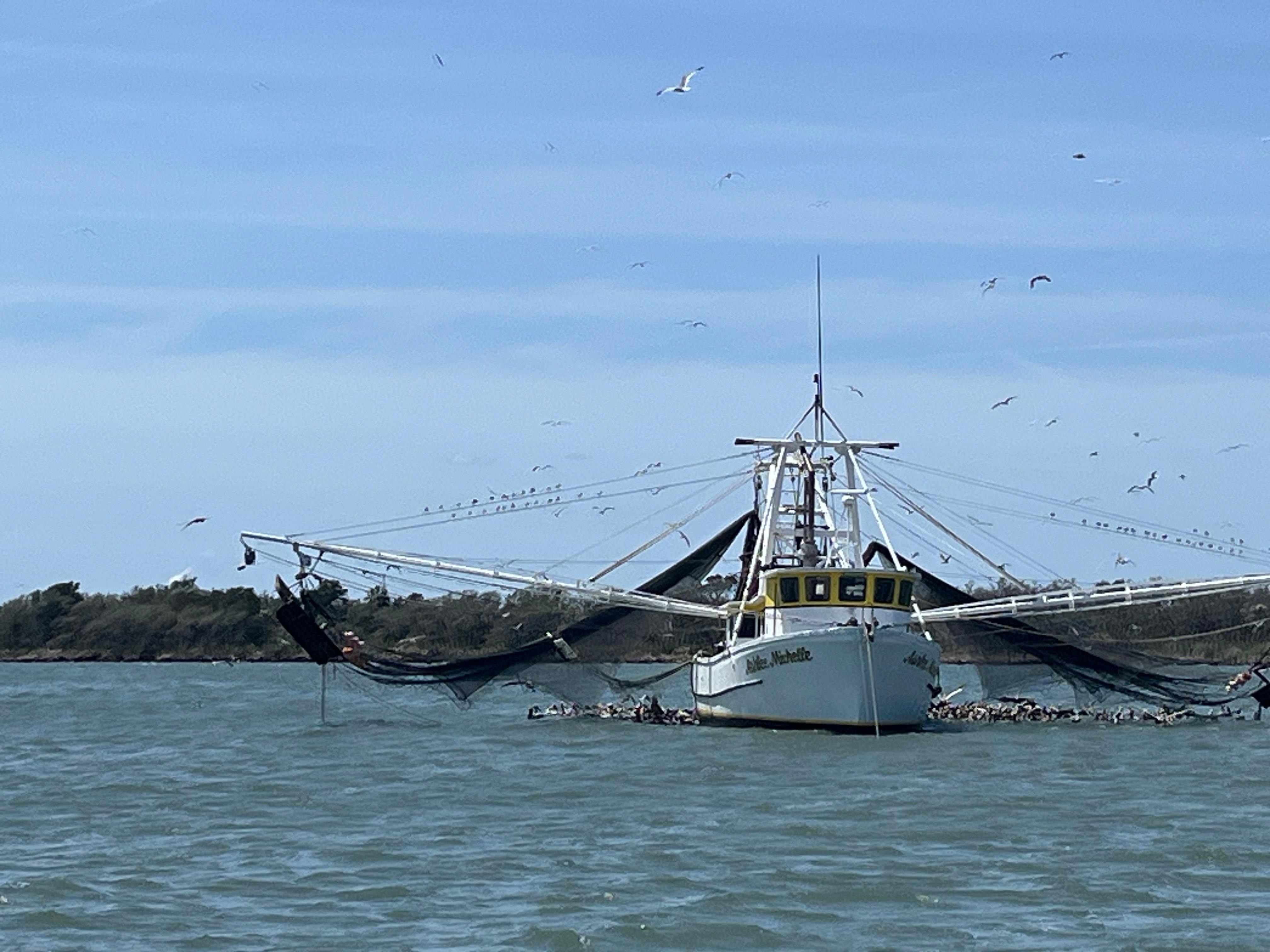 Shrimp boat seen during our River Cruise