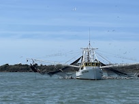 Shrimp boat seen during our River Cruise