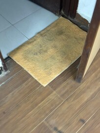 Their idea for a clean mat.