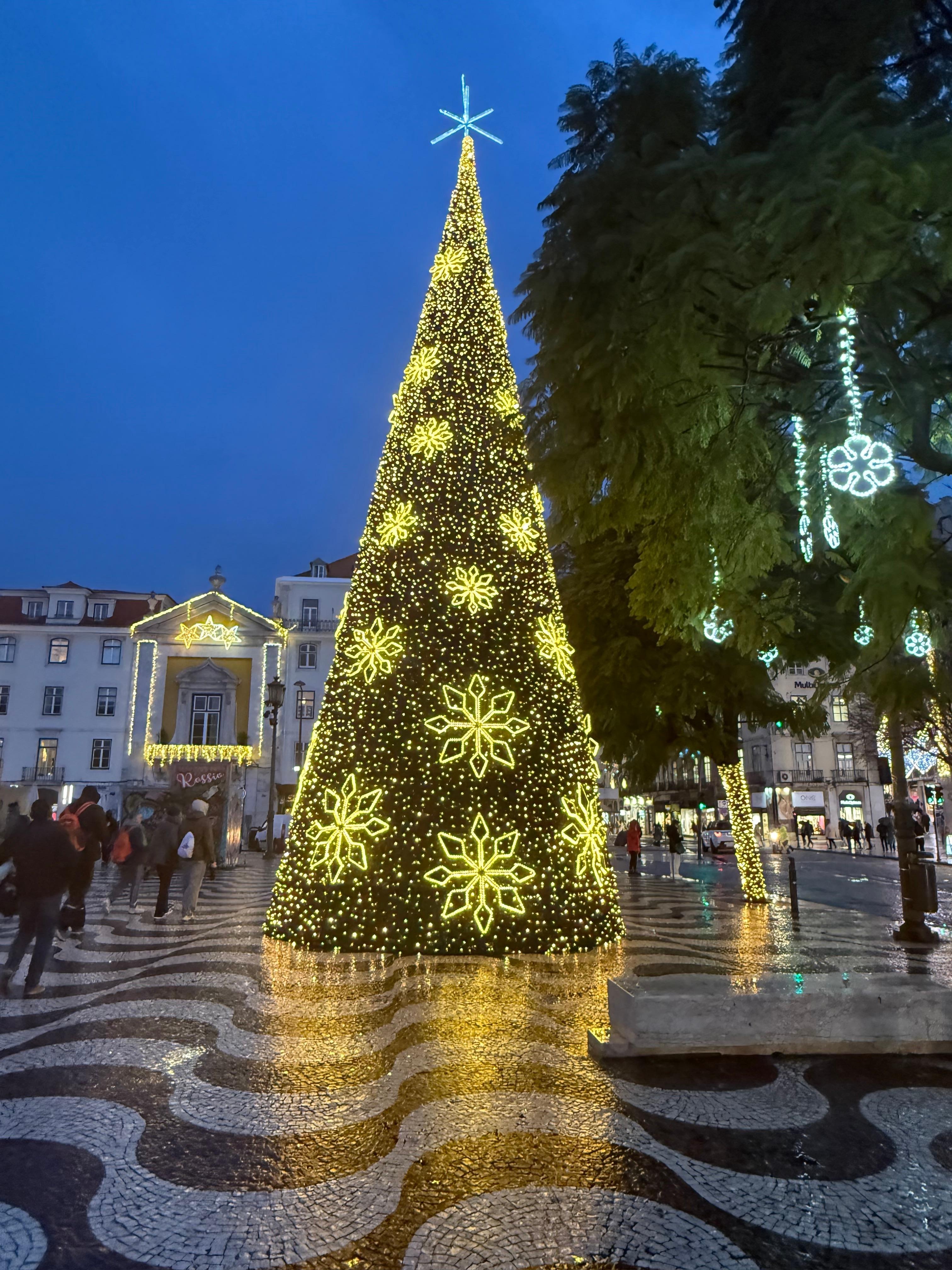 Rosario Plaza - Christmas 2025