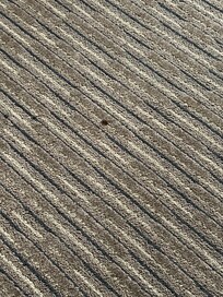 burn in Carpet in Suite