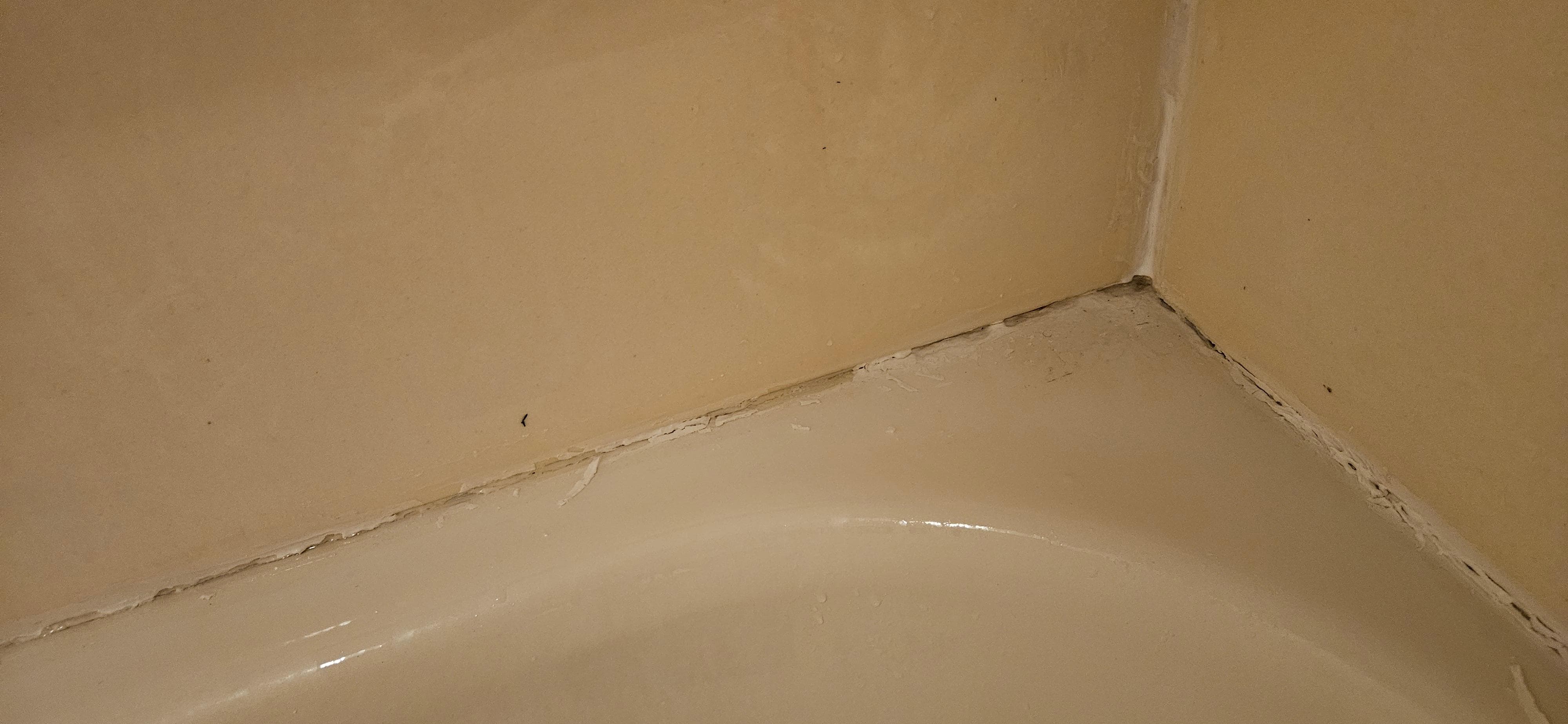 Mold on bathtub