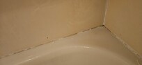 Mold on bathtub