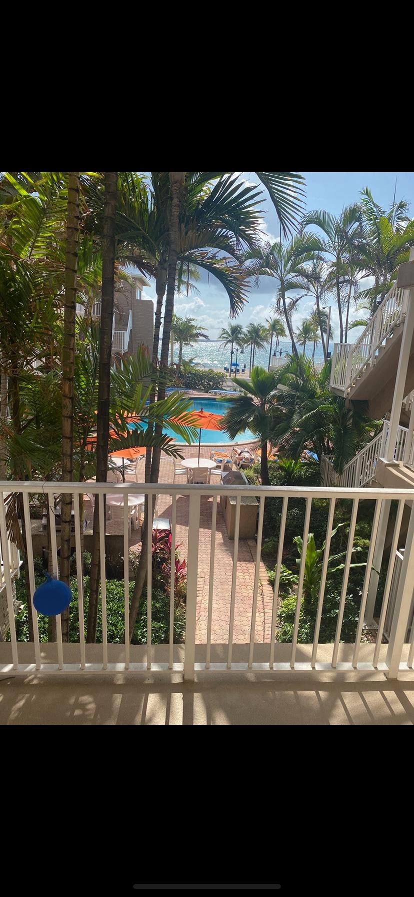 Our amazing view 