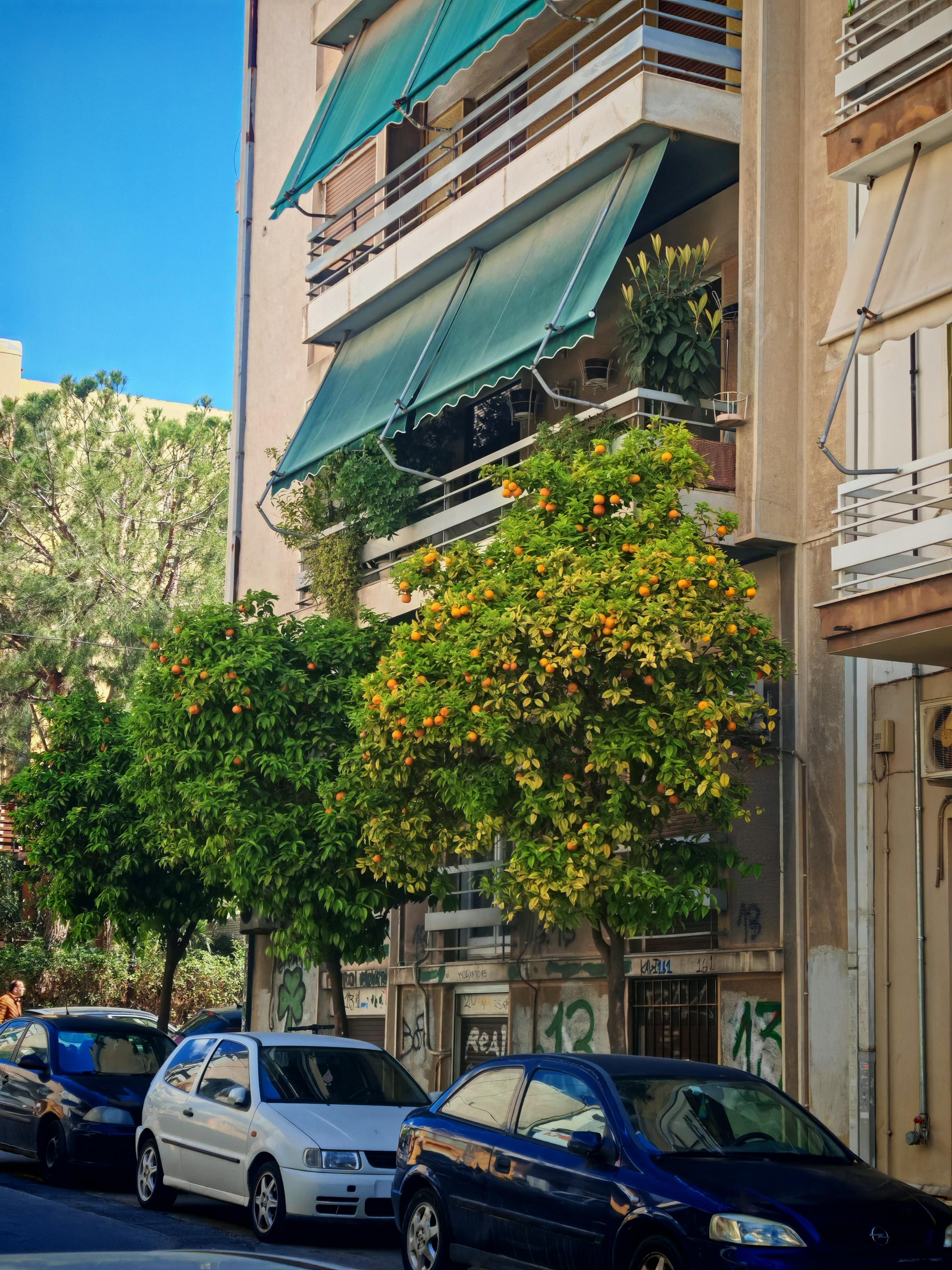 Petralona neighbourhood 