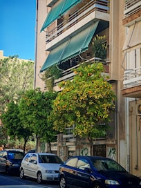 Petralona neighbourhood