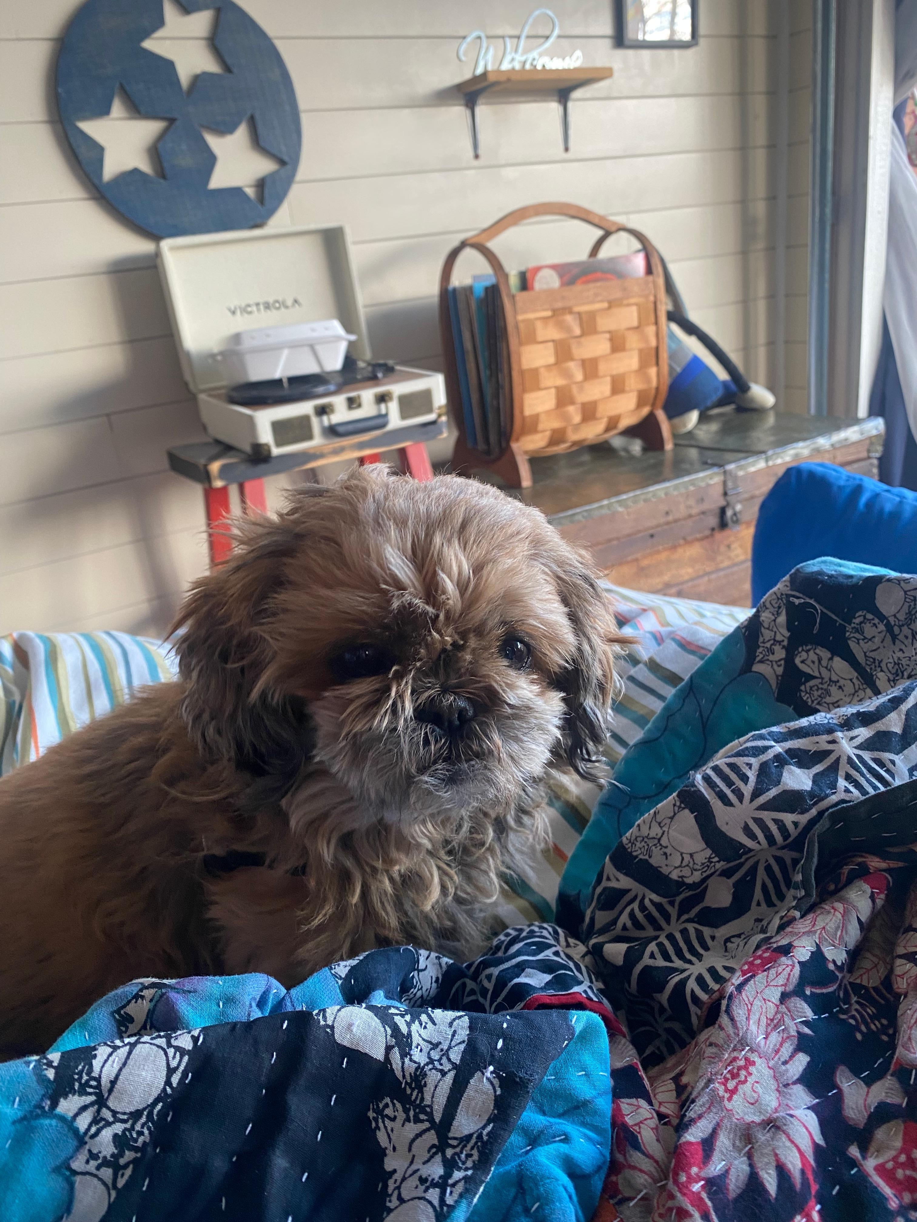 Luna relaxing in style and comfort! 😊