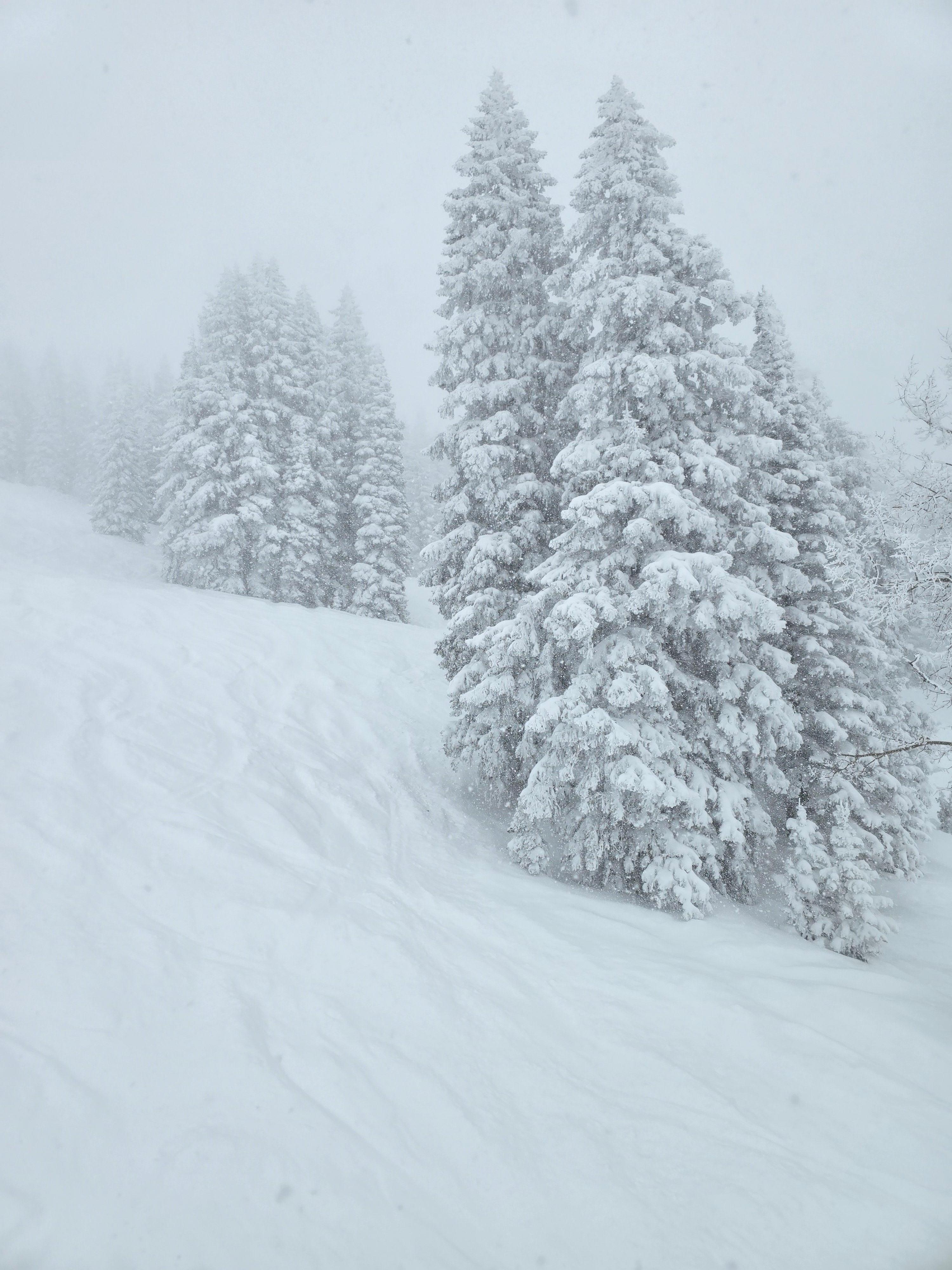 View from the chair lift