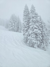 View from the chair lift