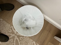 Trash in can on arrival day