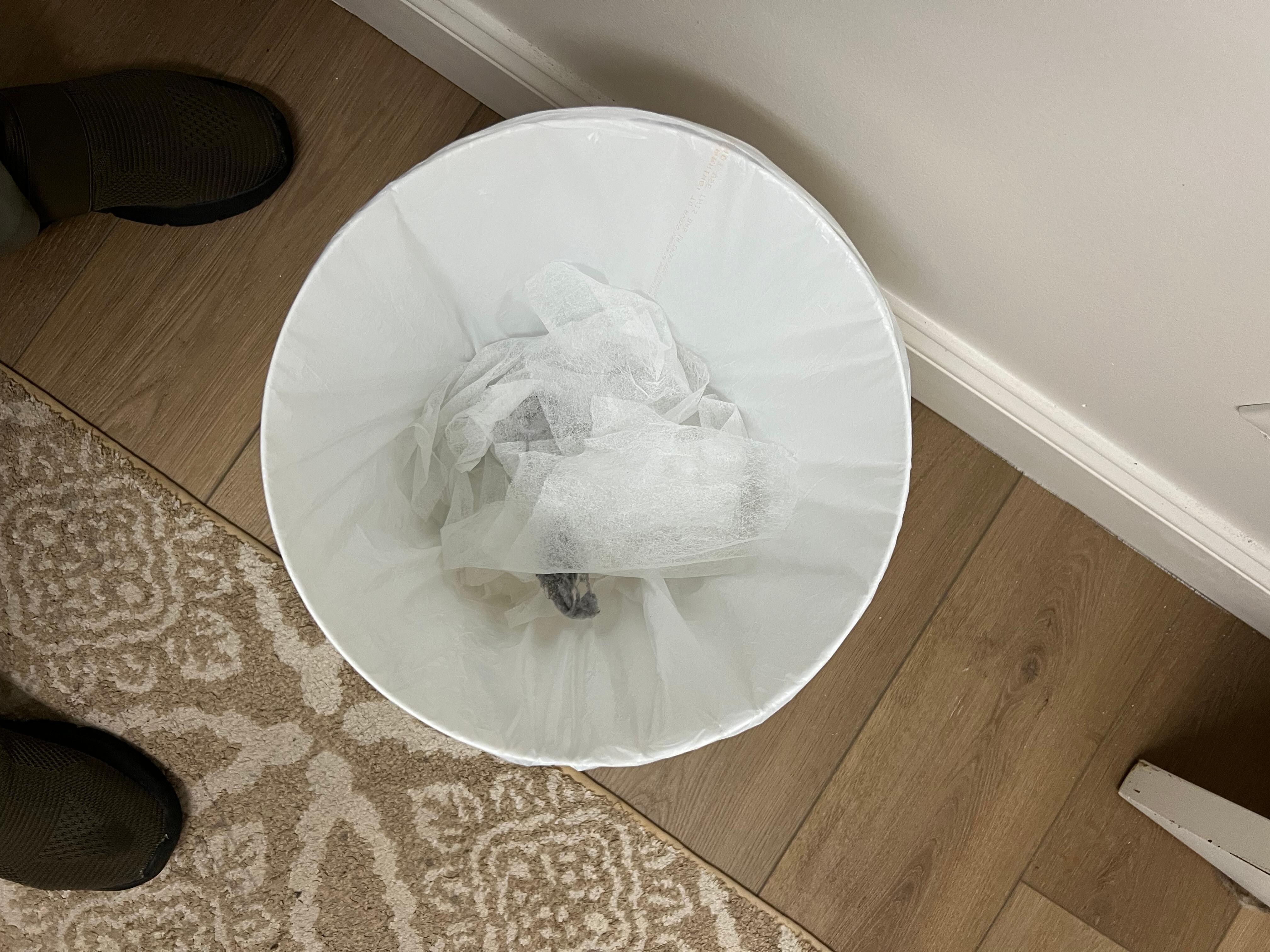 Trash in can on arrival day