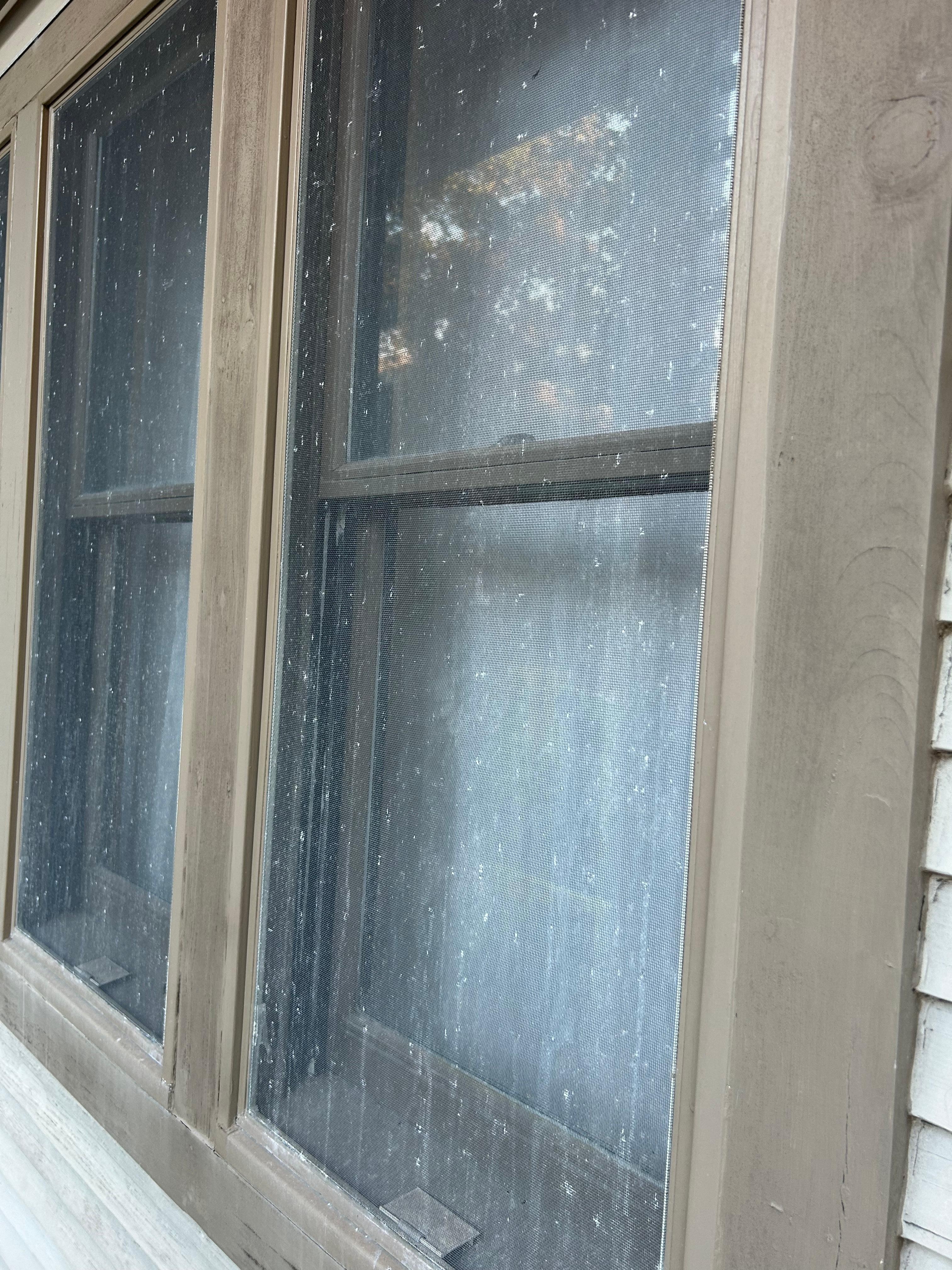 Windows and screen need cleaning. 