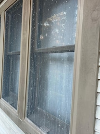 Windows and screen need cleaning.