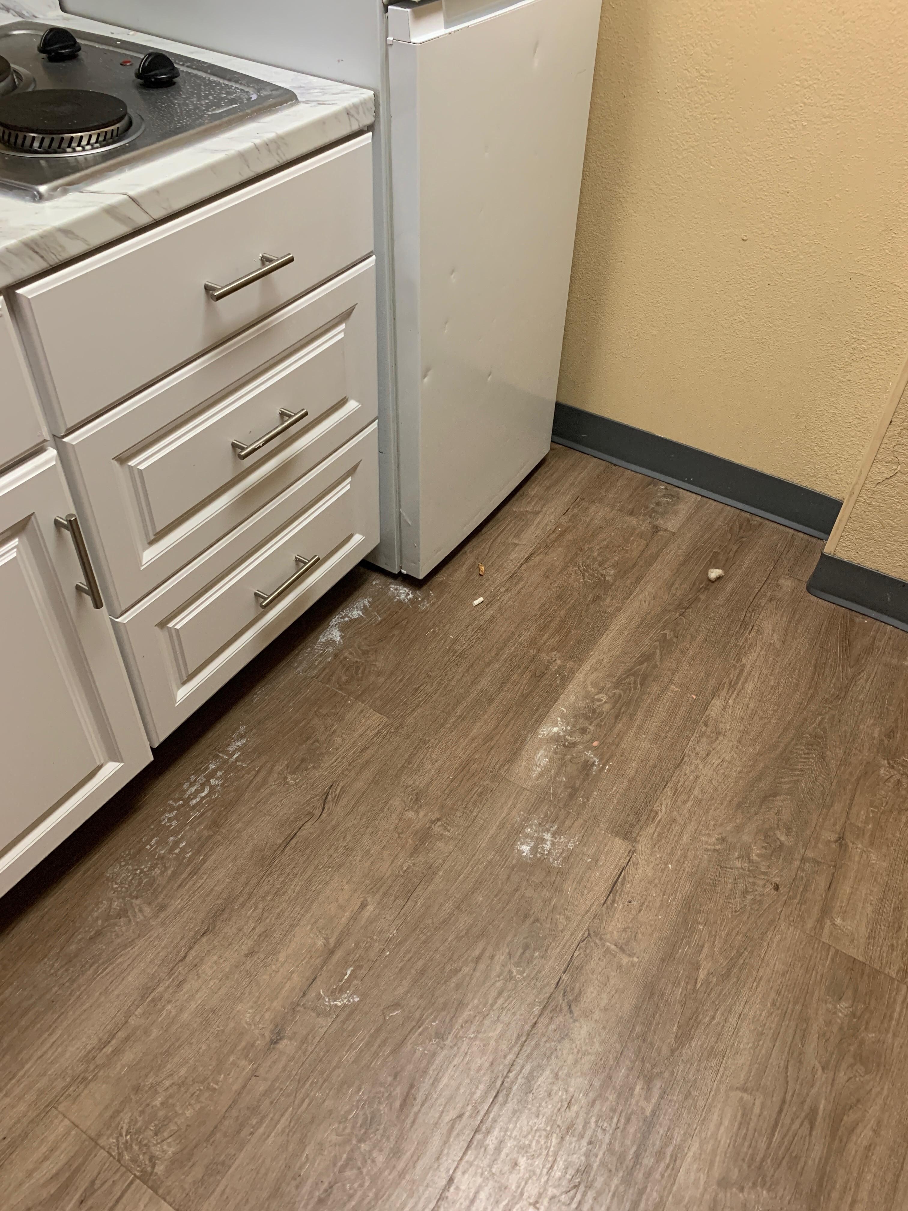kitchen floor debris