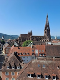 Blick zum Münster und Altstadt