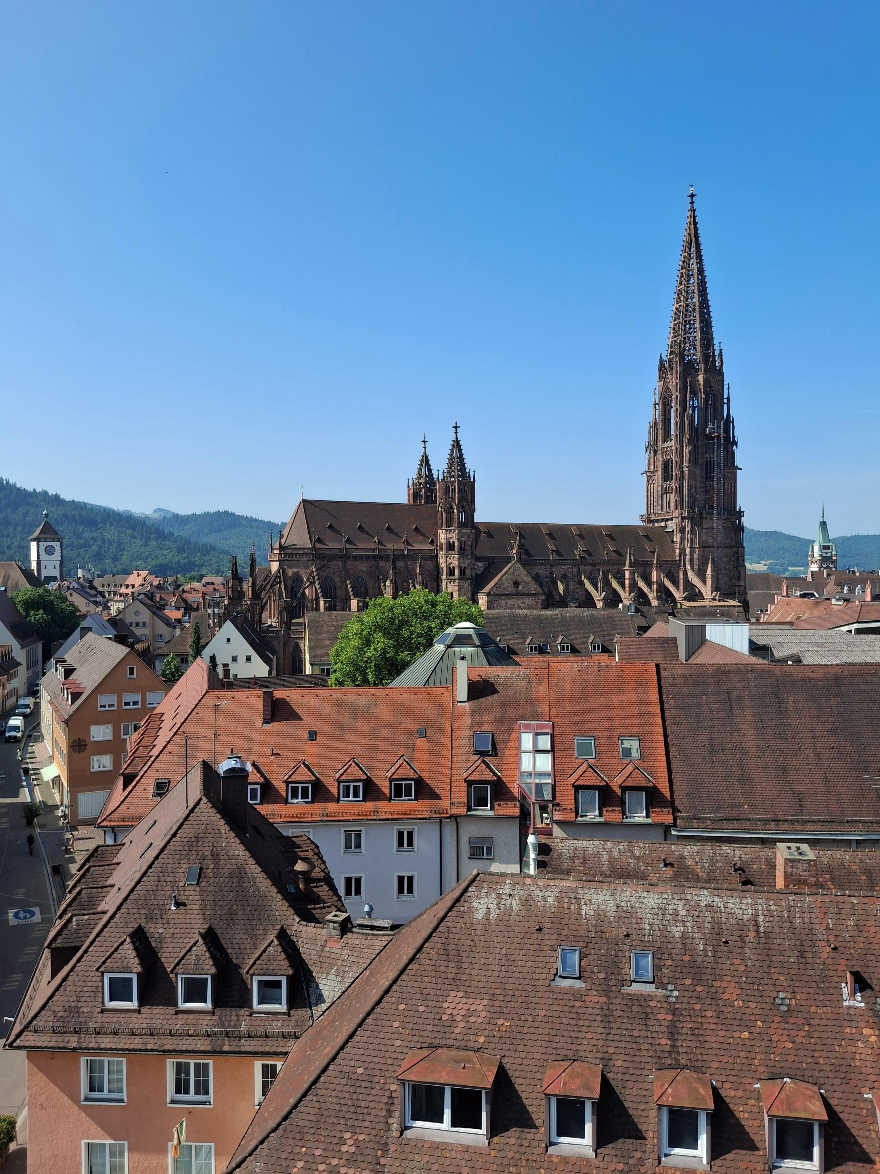 Blick zum Münster und Altstadt