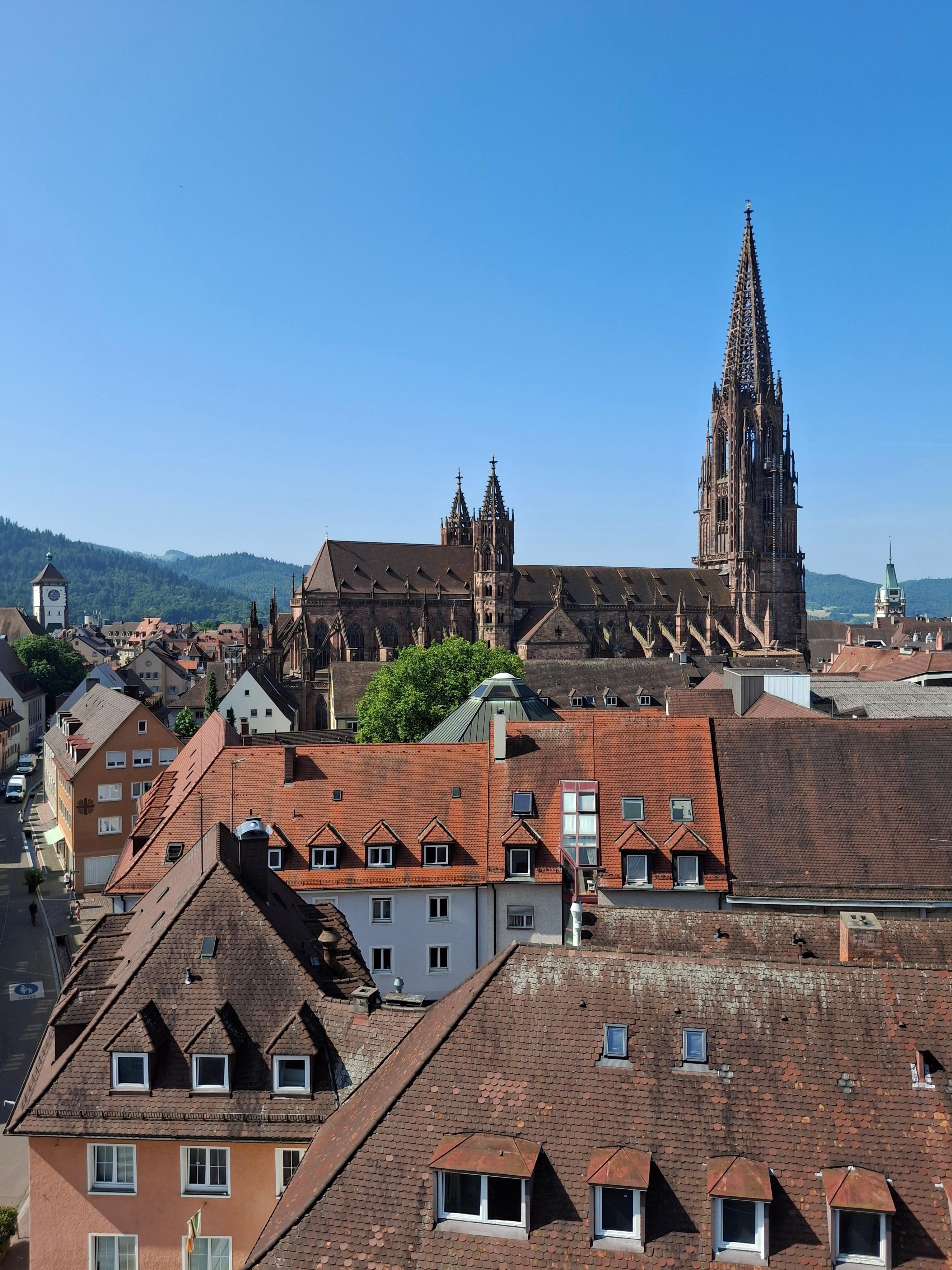 Blick zum Münster und Altstadt