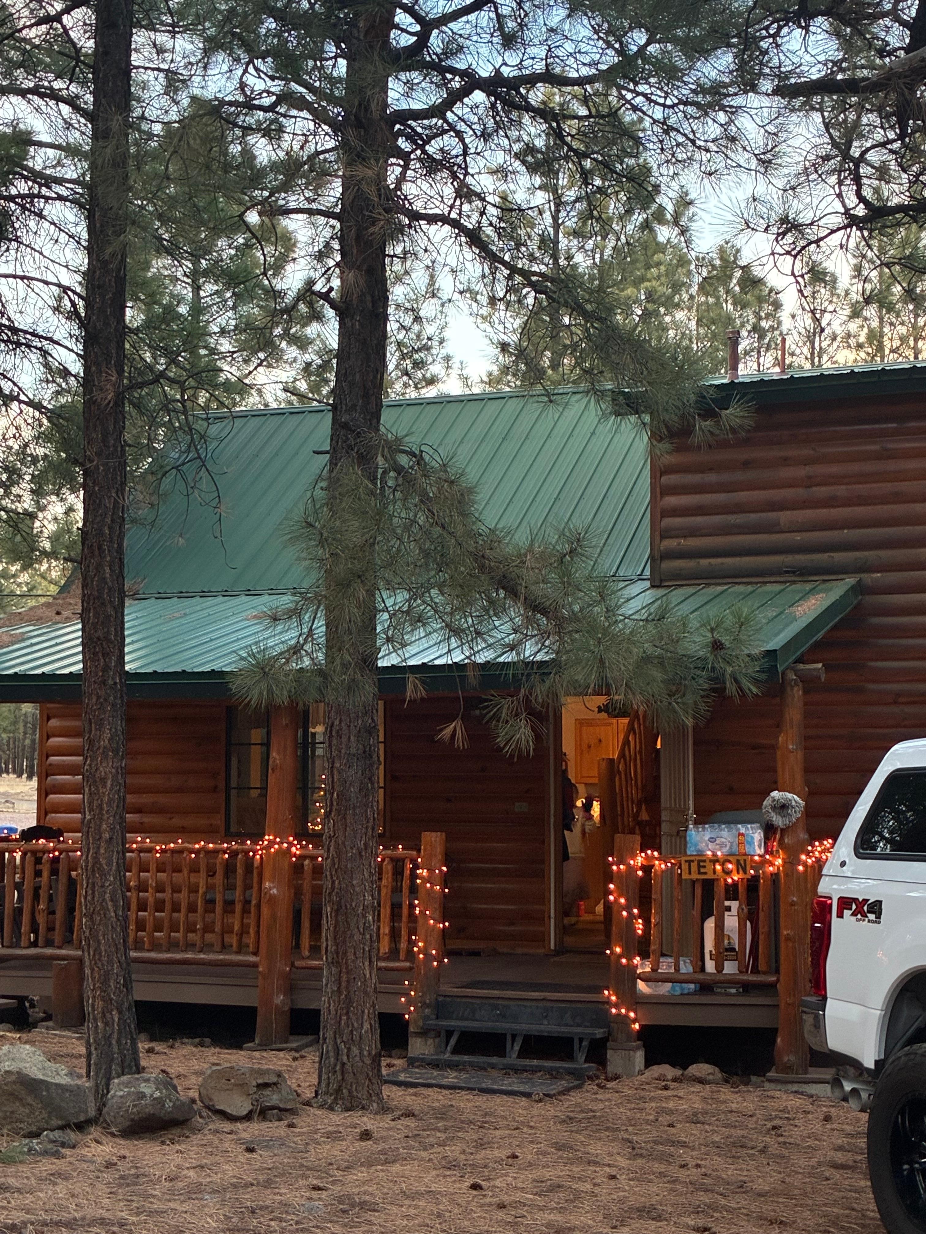 Host made us feel at home , with the lights and the Christmas tree.