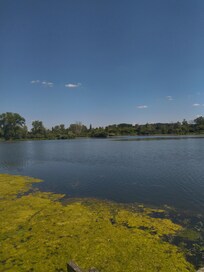 Ătang de Hem Monacu