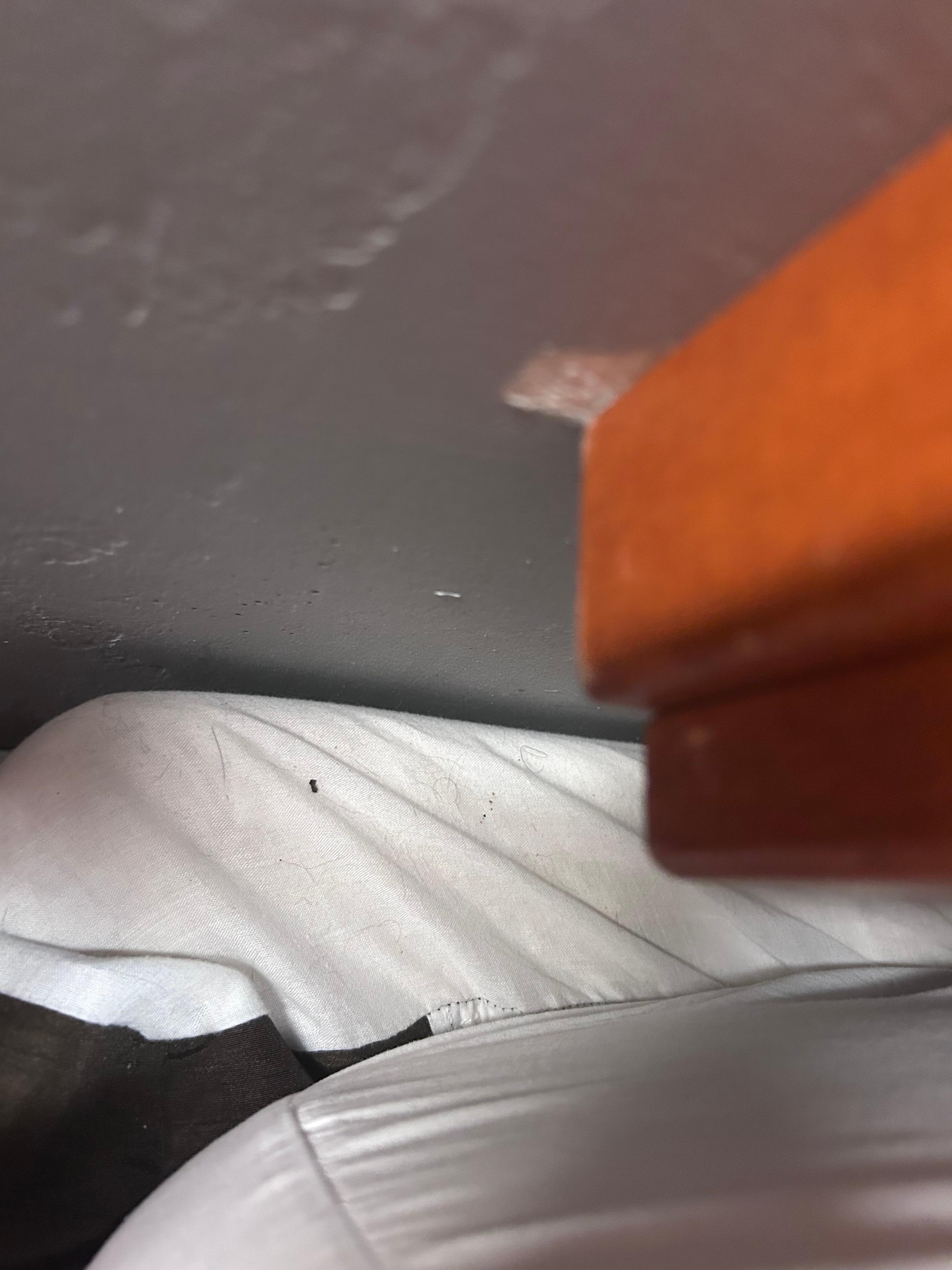 Hairs and dust on the boxspring cover