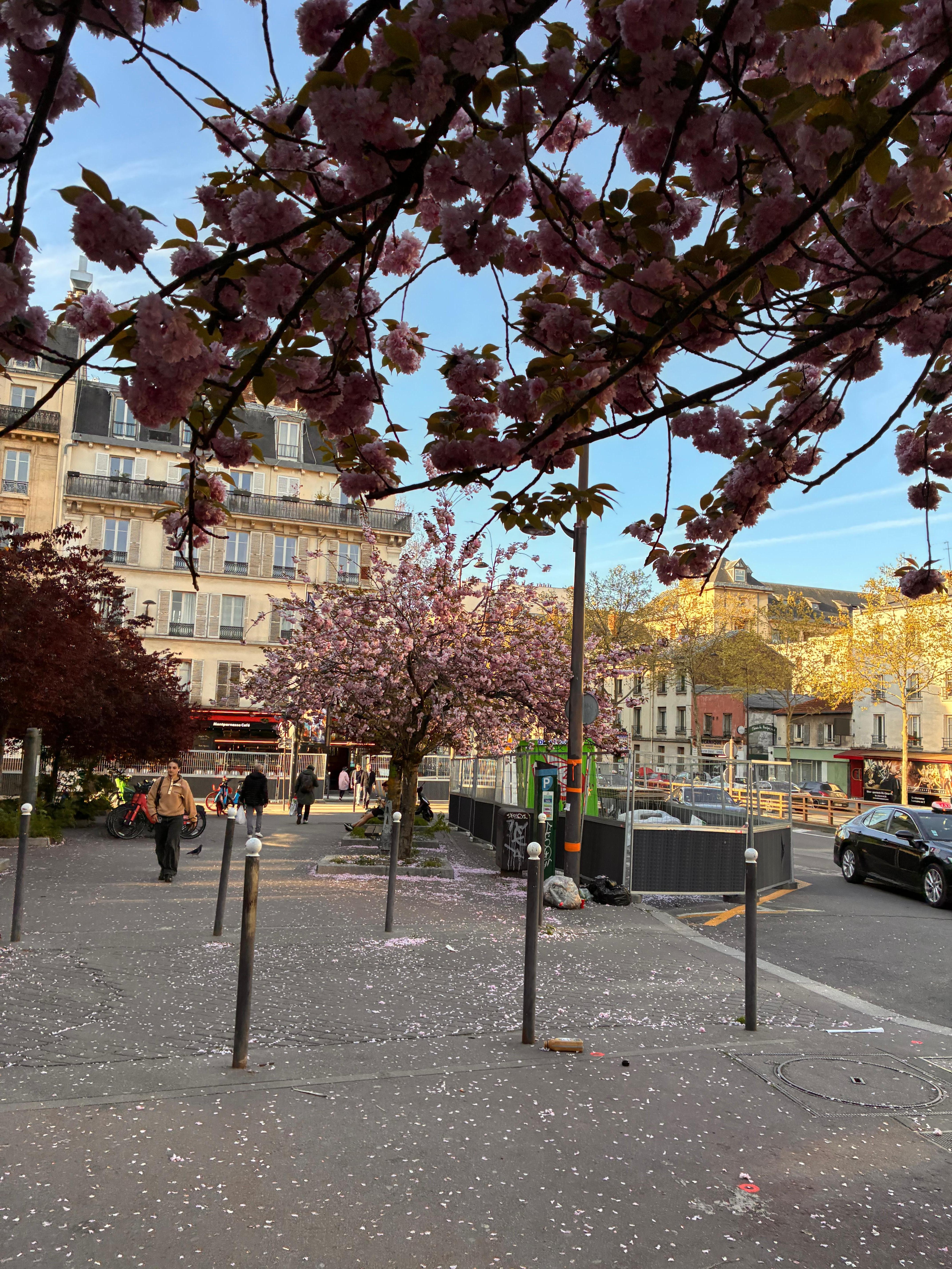 Montparnasse istasyonu ile çok yakın.