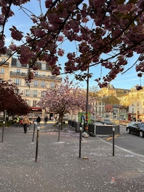 Montparnasse istasyonu ile çok yakın.