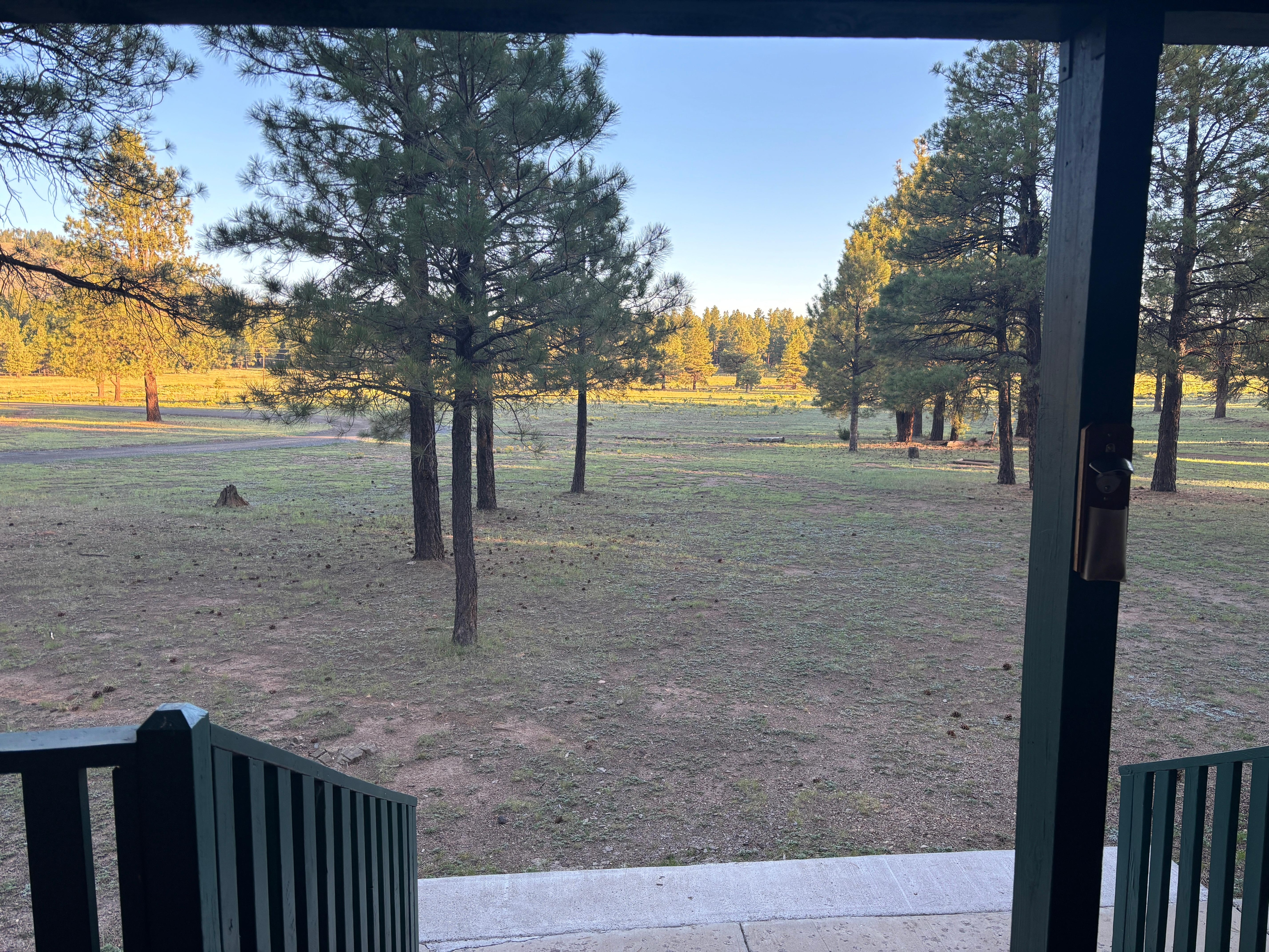 View out the front porch.