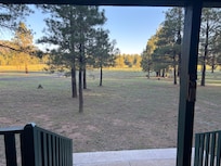 View out the front porch.